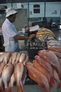 Venda de peixe no Mercado Ver-o-Peso, em Belém - PA